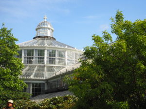 Drivhuset i "Botanisk Have".