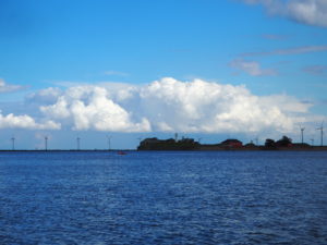 Danske vindturbinar sett frå ein båttur i havna.